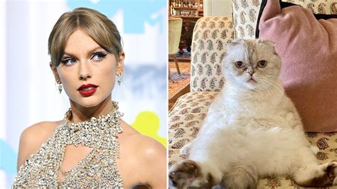 Taylor Swift’s cat listed among world’s richest pets, reportedly worth ...