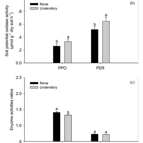 Soil Enzyme Activities In The Different Understory Vegetation