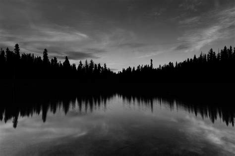 Fotos gratis árbol agua naturaleza bosque nube en blanco y negro