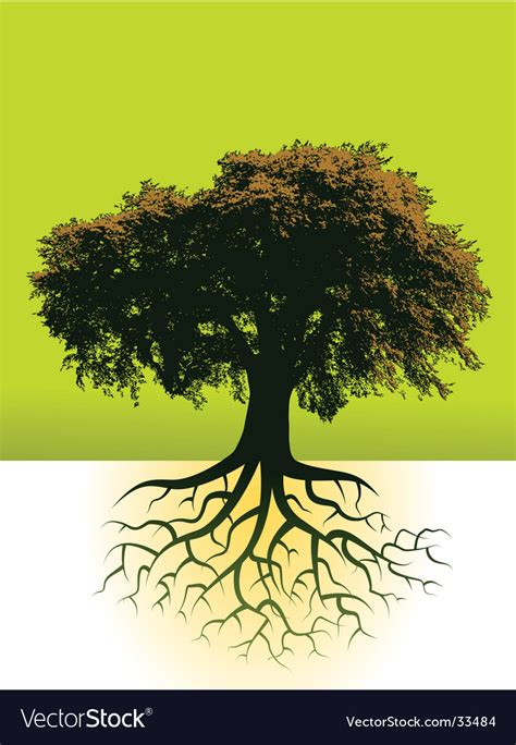 trees roots royalty  vector image vectorstock
