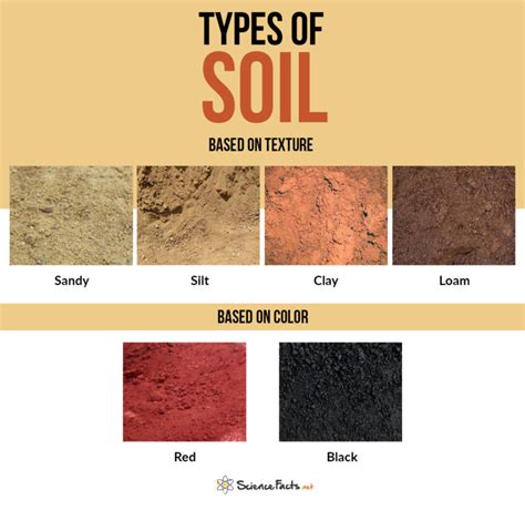 Types of Soil - Science Facts