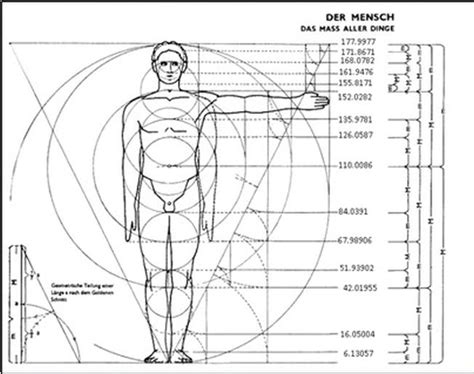 A Human Body Mathematical Model Biometric Using Golden Ratio A New