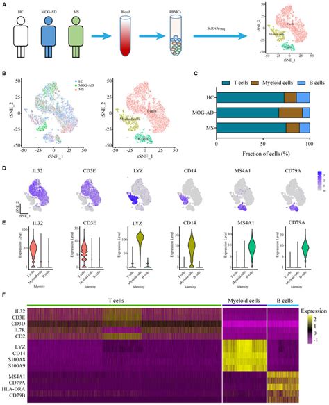 Single Cell Transcriptional Profiling Of PBMCs From HC RRMS And