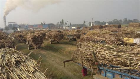 उखु किसानले अनुदानबापतको रु २० करोडभन्दा बढी भुक्तानी लिन बाँकी नेपाल