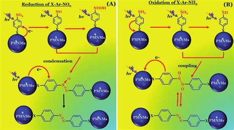 Schematic representation of reaction mechanism for the photochemical ...