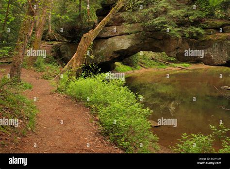 Rock Bridge Red River Gorge Geological Area Slade Kentucky Stock Photo