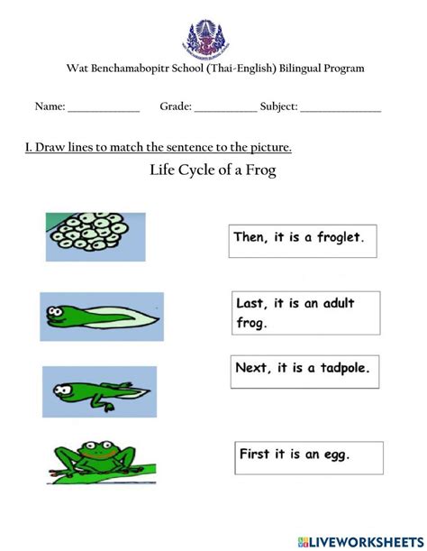 Free Life Cycle Of Animals Worksheet Download Free Life Cycle Of