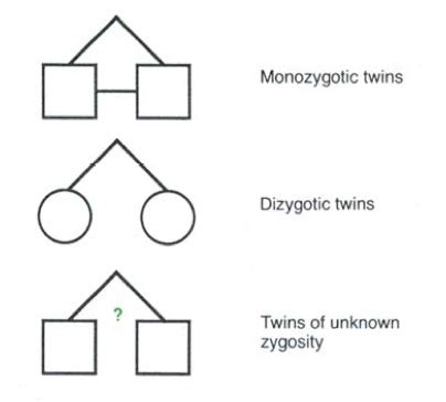 Genetic Exam Incomplete Flashcards Quizlet