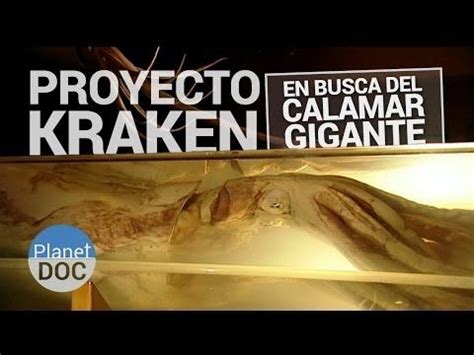 Proyecto Kraken En Busca Del Calamar Gigante Documental Completo