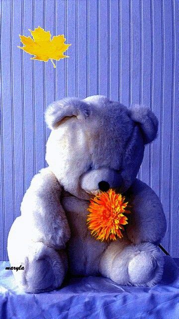 Pin By Patty J On Hermosos Cute Teddy Bears Teddy Bear Teddy