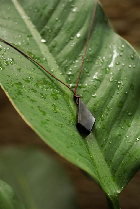 Buy Crystal Shungite Necklace - For 5G, EMF Protection - Zhungite