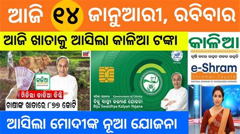 Odisha News 10 January 2023 Today Morning News Kalia Yojana Kisan