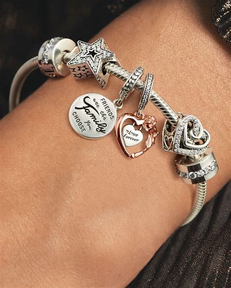 Pin By Maria On Jewelryyyy Pandora Bracelet Charms Ideas Pandora