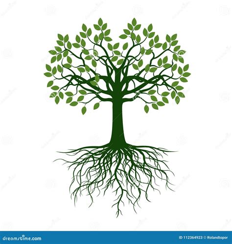 Tree With Roots Graphic Design