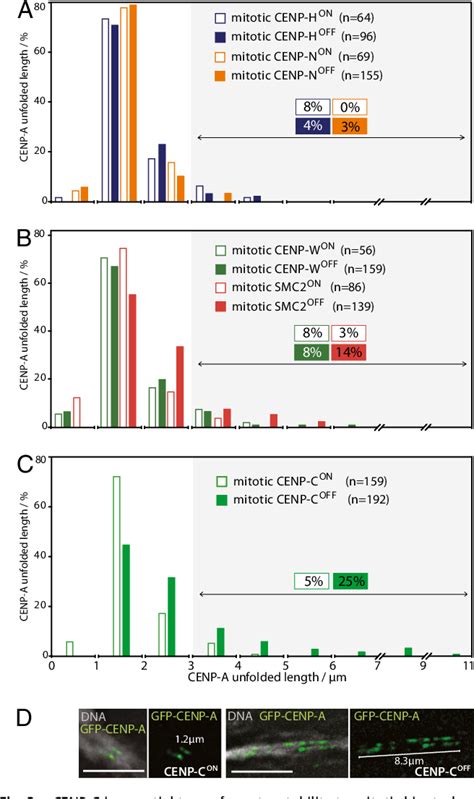 Figure 1 from A super-resolution map of the vertebrate kinetochore ...