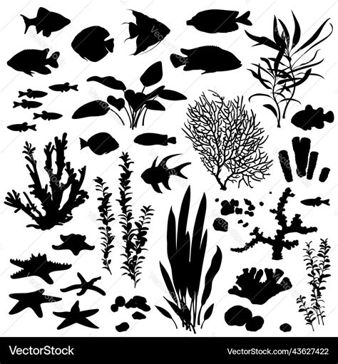 Black and white silhouette of a sea coral reef Vector Image