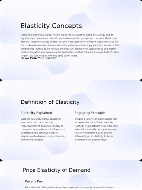 elasticity concepts  elasticity economics demand