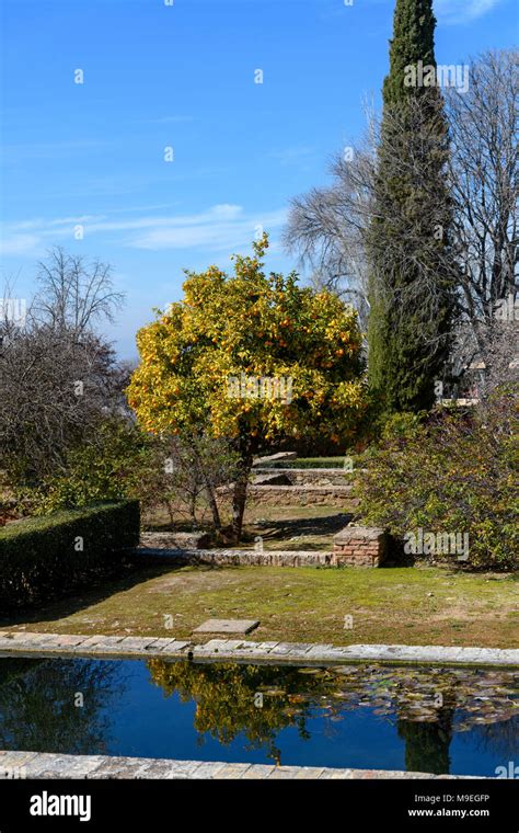 Surroundings of La Alhambra gardens Stock Photo - Alamy