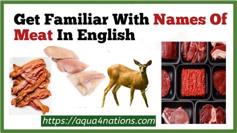 Get Familiar With Names Of Meat In English - Aqua4Nations