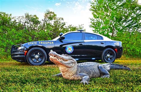 Fhp Wallpapers Wallpaper Cave