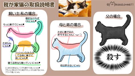 『猫がさわると喜ぶ場所、喜ばない場所』我が家版｜ねこナビ