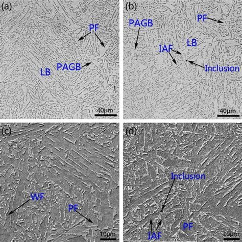 Optical Micrograph And Sem Micrograph Of Microstructure In Haz A