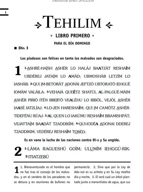 Tehilim Salmos Con Hebreo Fon Tica Y Espa Ol Al Pie Tapa Dura