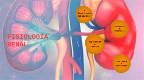 Fisiología Renal By Shirley Rocio Siles Zenteno On Prezi