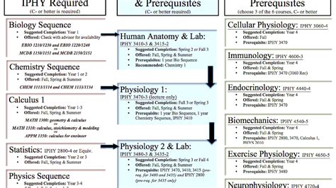 Pre-medical - Pre Medicine Requirements - Medicine Choices