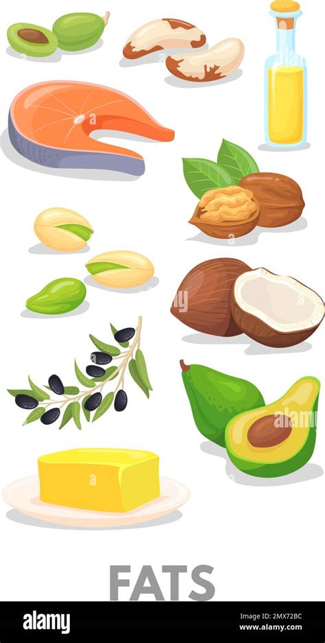 Fats Healthy Macronutrients Chart Cartoon Food Icon Isolated On White