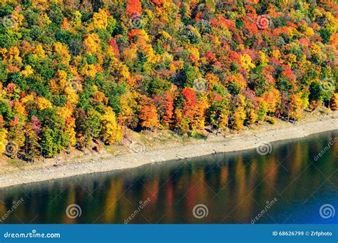 Allegheny National Forest stock image. Image of leaves - 68626799