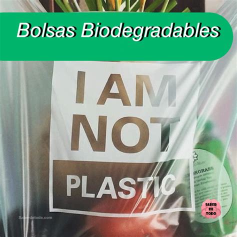 PLÁSTICOS BIODEGRADABLES qué son tipos ejemplos y más