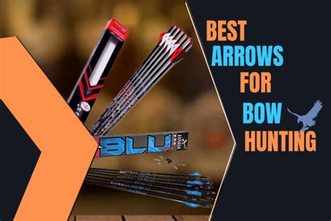 Top 11 Best Arrows for Bow Hunting 2024 - Hunt With Reliable Arrows