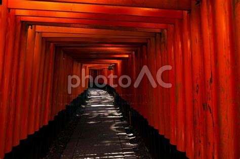 伏見稲荷神社の千本鳥居 No 3795455｜写真素材なら「写真ac」無料（フリー）ダウンロードok