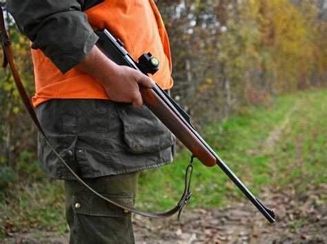 Société Plan chasse En Côte dOr ça ne va pas changer grand chose