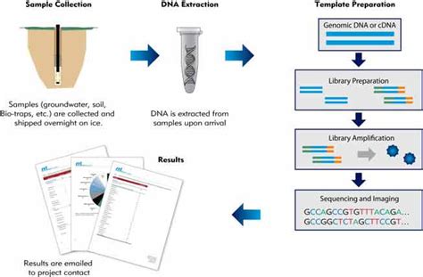 Dna Analysis And Characterization