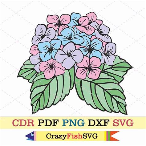 Hydrangea Svg Botanical Flower Clipart Bouquet Png Etsy