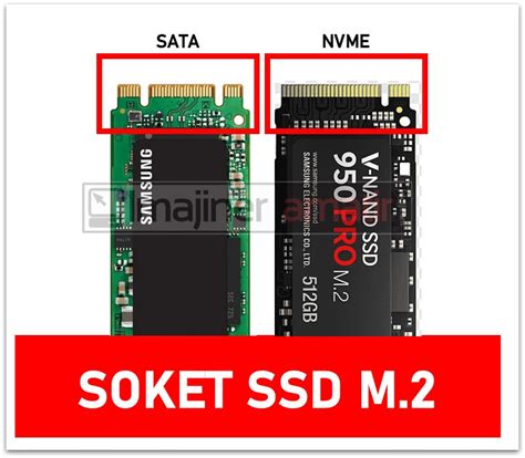 Perbedaan Ssd M 2 Dan Nvme Perbandingan Dan Perbedaan Ssd Sata Vs