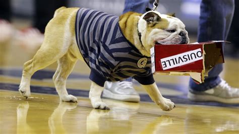 Georgetowns Bulldog Mascot Skateboarding Video Nbc Sports