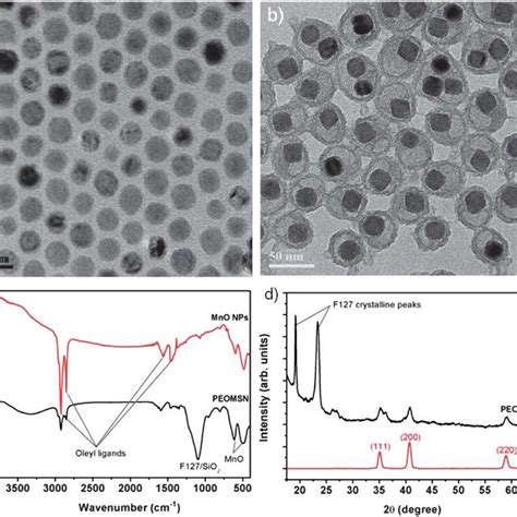 Tem Images Of A Naked And B Peo Sio Coated Mno Nanoparticles