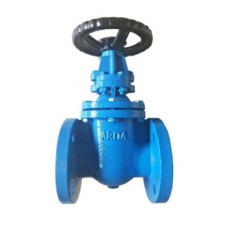 ARITA IGA F3 Cast Iron Body Gate Valve OS Y 200 Psi Flange PN16