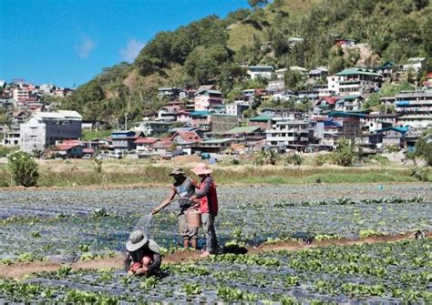 12 Things To Do In Baguio — The Summer Capital Of The Philippines