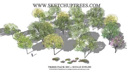 SketchupTrees Sketchup Trees 2D Trees 3D Trees Sketchup