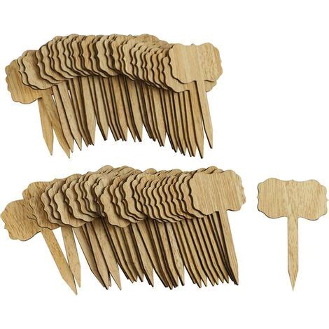 Étiquettes pour plantes HEALLILY 40 Pcs Étiquettes De Plantes en Bois