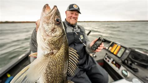 Find And Catch More Walleyes With Modern Sonar Wired2Fish