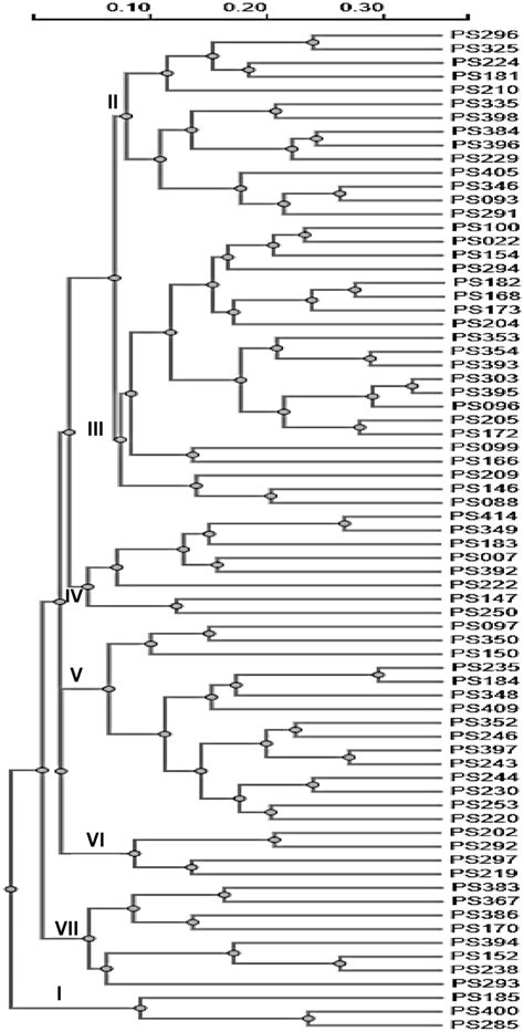 Dendrogram Showing Cluster Analysis Of Carbapenem Resistant P