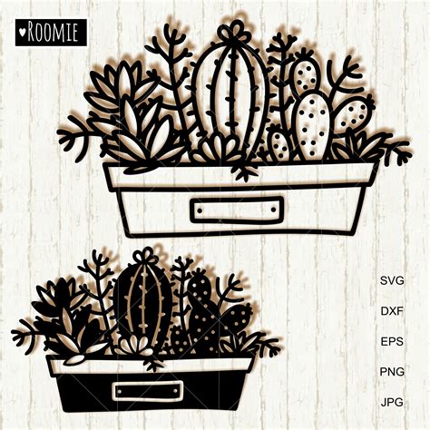 Cactus And Succulent Svg Cricut Cactuses Cut File Cactus C Inspire