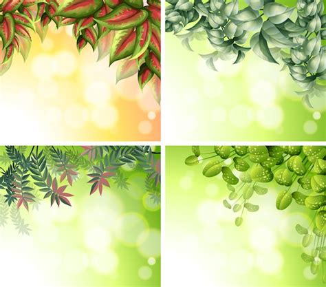 Premium Vector Background Design With Nature Theme