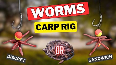 Worms Rig Catch Carp With Worms How To Rig Youtube