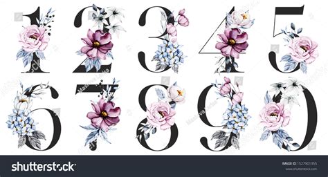 16264 Floral Numbers Set Images Stock Photos And Vectors Shutterstock